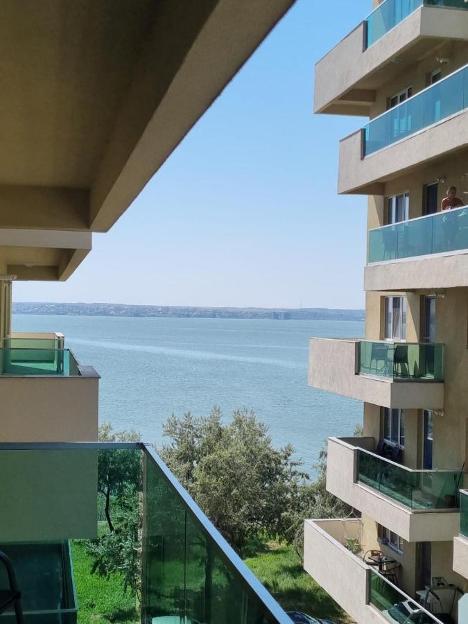 Apartment Your Escape To The And